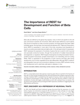 The Importance of REST for Development and Function of Beta Cells