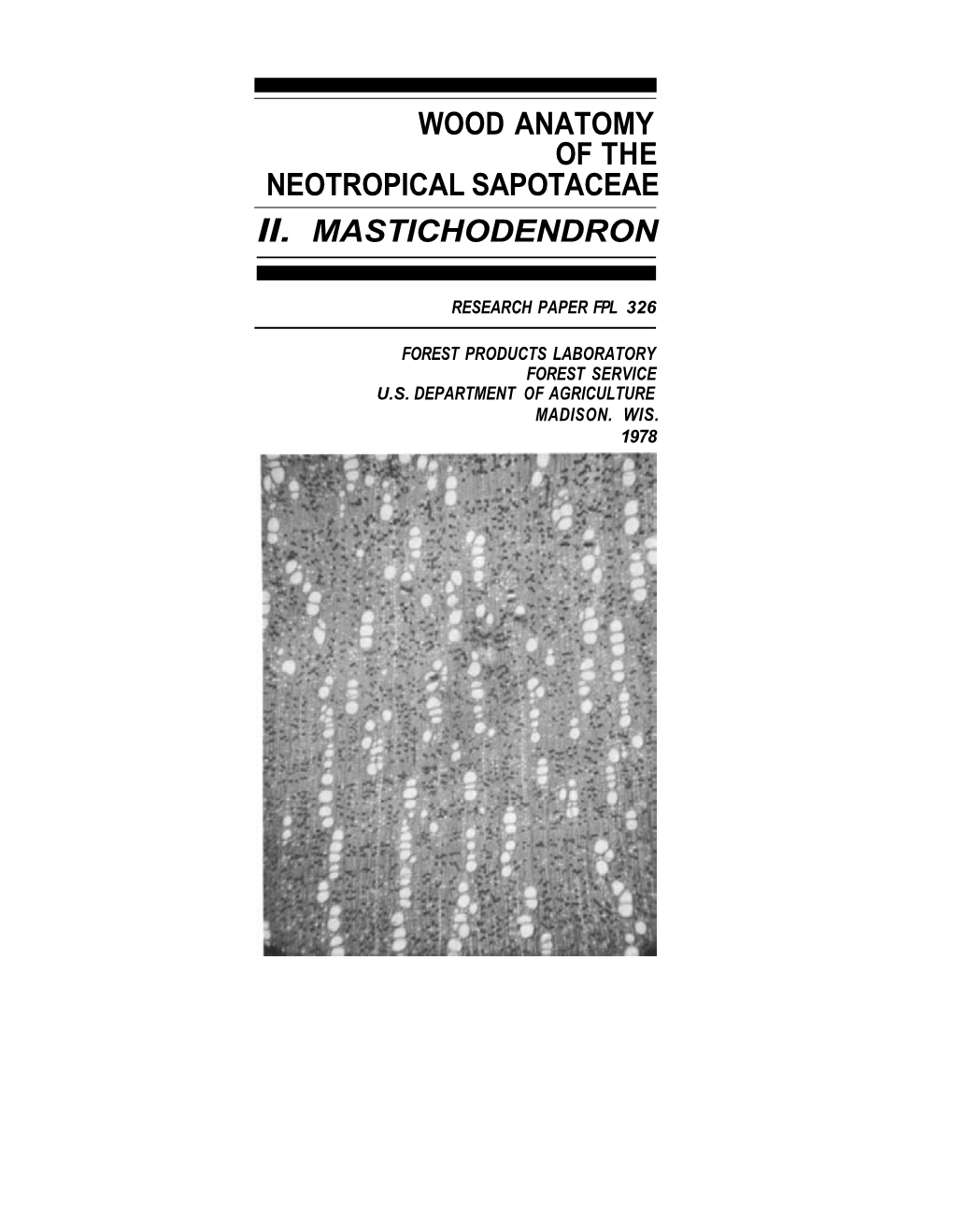 Wood Anatomy of the Neotropical Sapotaceae Ii