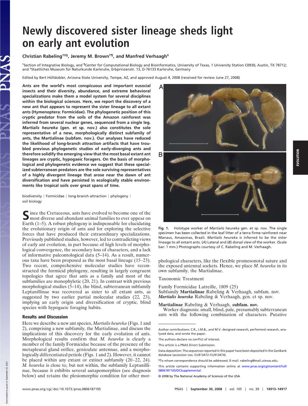 Newly Discovered Sister Lineage Sheds Light on Early Ant Evolution