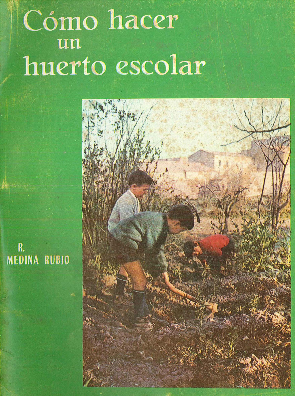 Huerto Escolar SEAN COMO HACER UN HUERTO ESCOLAR