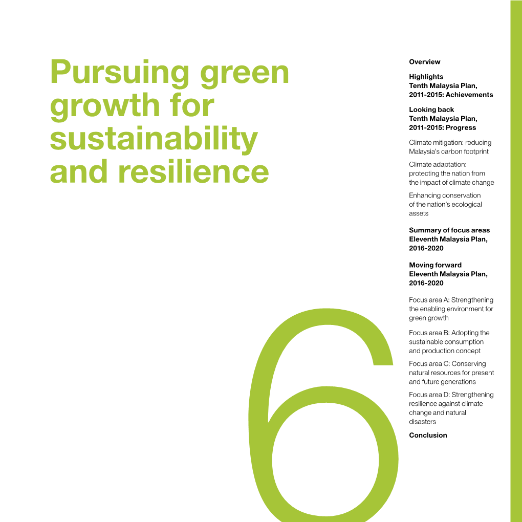 Pursuing Green Growth for Sustainability and Resilience 6-2