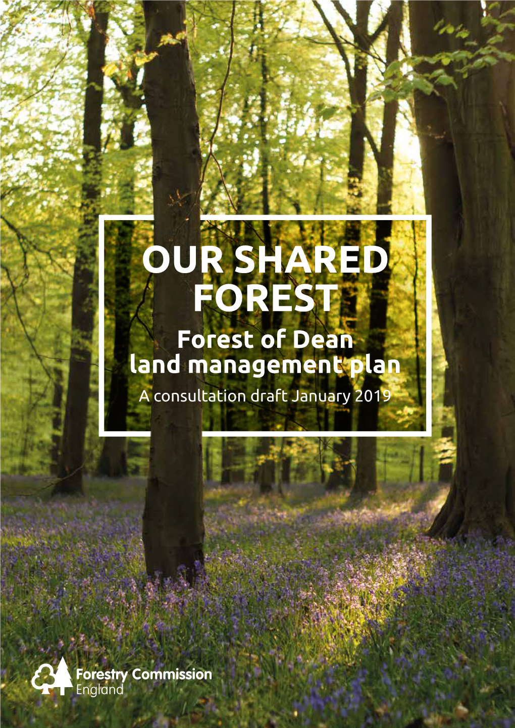 OUR SHARED FOREST Forest of Dean Land Management Plan a Consultation Draft January 2019