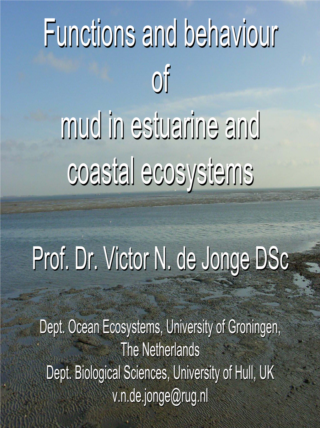 Functions of Mud in Estuarine and Coastal Ecosystems