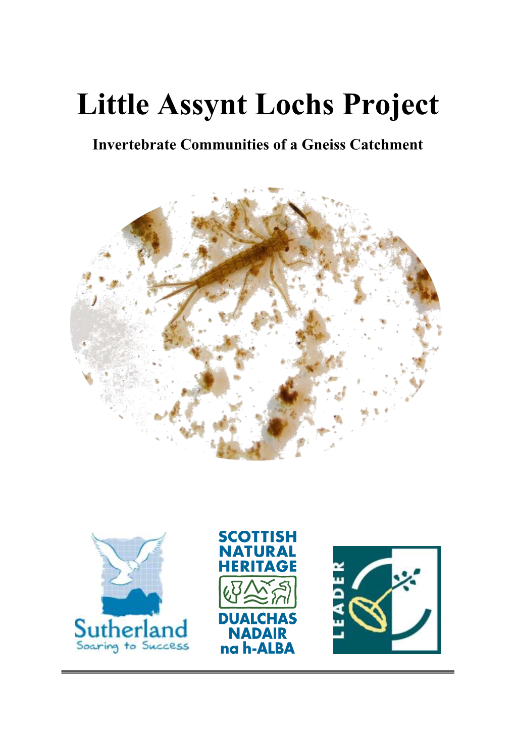 Little Assynt Lochs Project
