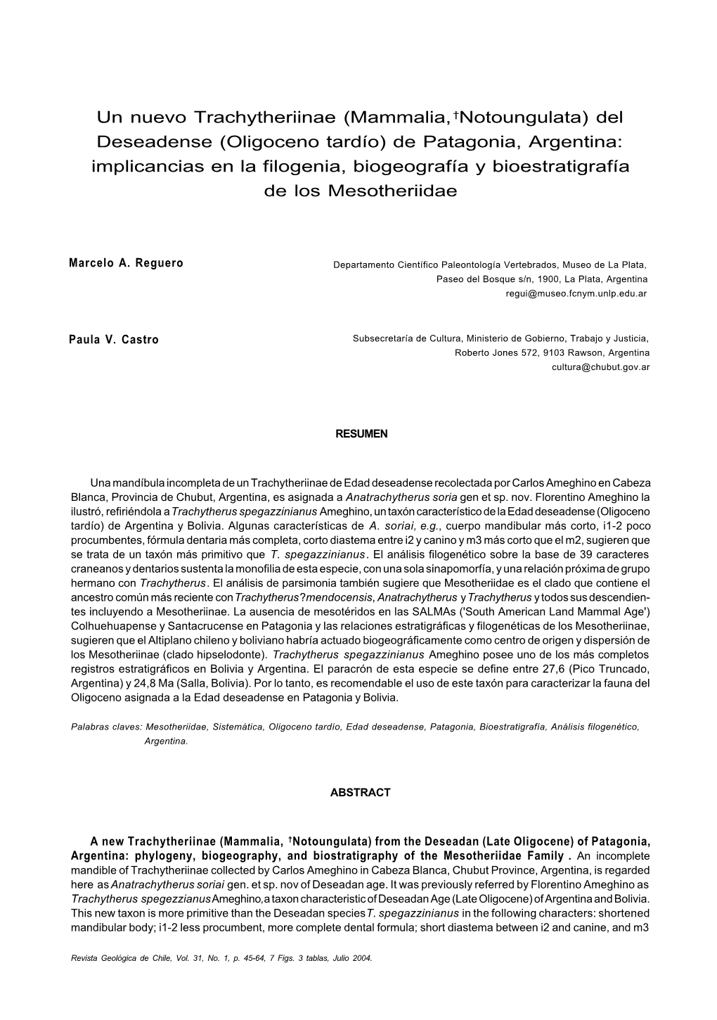 Un Nuevo Trachytheriinae (Mammalia,†Notoungulata) Del