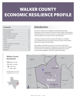Walker County Economic Resilience Profile