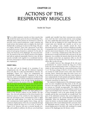 Ch22: Actions of the Respiratory Muscles