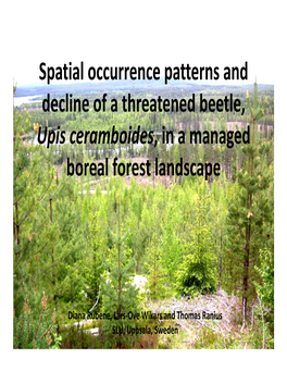 Spatial Occurrence Patterns and Decline of a Threatened Beetle, Upis Ceramboides, in a Managed Boreal Forest Landscape