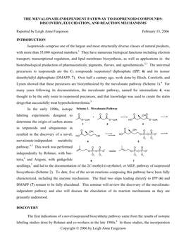 The Mevalonate-Independent Pathway to Isoprenoid Compounds: Discovery, Elucidation, and Reaction Mechanisms