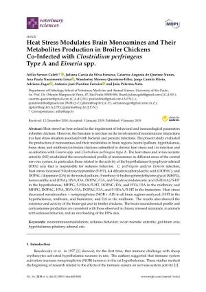 Heat Stress Modulates Brain Monoamines and Their Metabolites Production in Broiler Chickens Co-Infected with Clostridium Perfringens Type a and Eimeria Spp