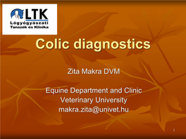 Colic Diagnostics – DVM Zita Makra