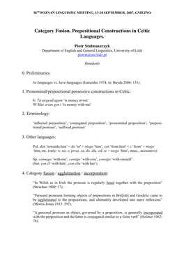 Category Fusion. Prepositional Constructions in Celtic Languages