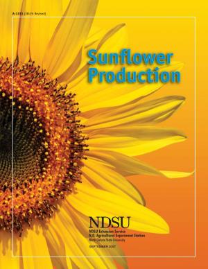Sunflower Production