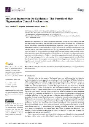 Melanin Transfer in the Epidermis: the Pursuit of Skin Pigmentation Control Mechanisms