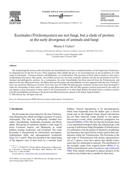 Eccrinales (Trichomycetes) Are Not Fungi, but a Clade of Protists at the Early Divergence of Animals and Fungi