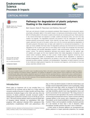 Pathways for Degradation of Plastic Polymers Floating in the Marine Environment