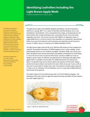 Light Brown Apple Moth Production Guideline by Dr