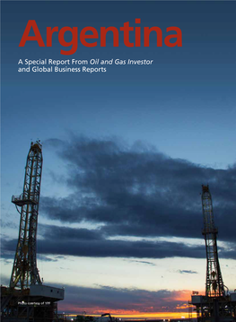 A Special Report from Oil and Gas Investor and Global Business Reports