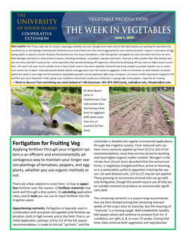 Fertigation for Fruiting Veg Through the Irrigation System