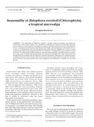 Seasonality of Batophora Oerstedi (Chlorophyta), a Tropical Macroalga