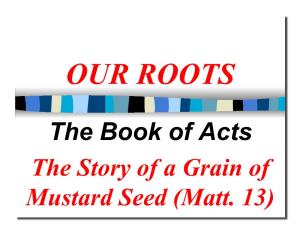 The Book of Acts the Story of a Grain of Mustard Seed (Matt. 13) Why “Acts of the Apostles”?