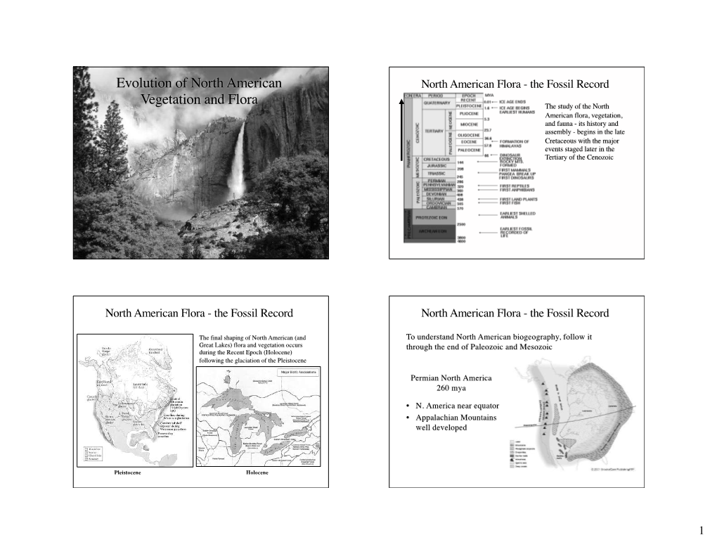 Evolution of North American Vegetation and Flora