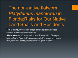 The Flatworm Platydemus Manokwari in Florida: Current Status And