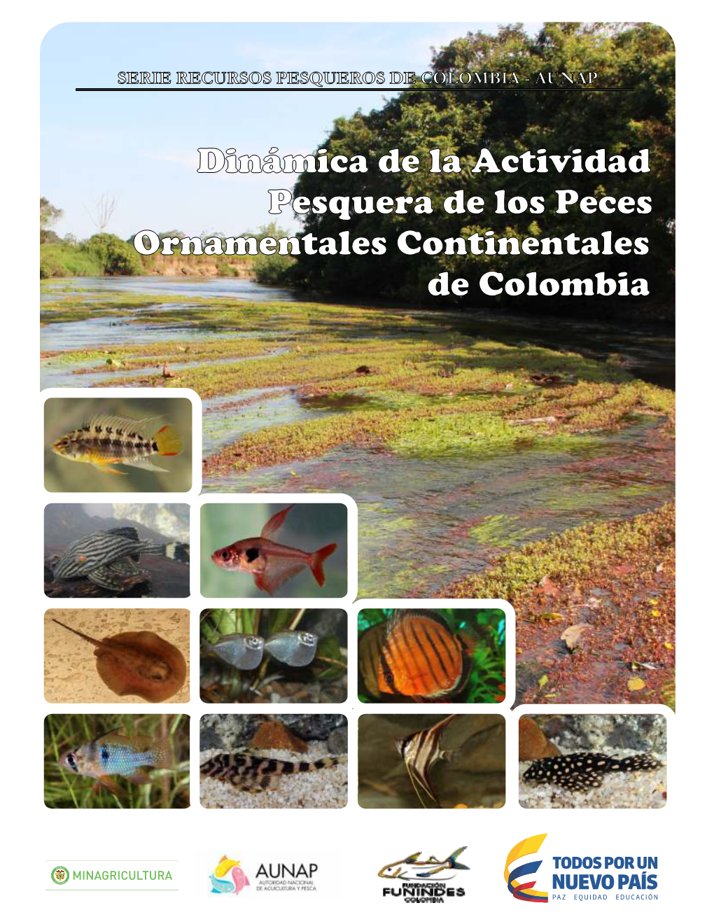 Dinámica De La Actividad Pesquera De Peces Ornamentales Continentales En Colombia