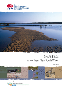 Shorebirds of Northern NSW Final Report