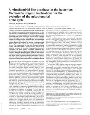A Mitochondrial-Like Aconitase in the Bacterium Bacteroides Fragilis: Implications for the Evolution of the Mitochondrial Krebs Cycle