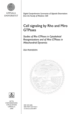 Cell Signaling by Rho and Miro Gtpases