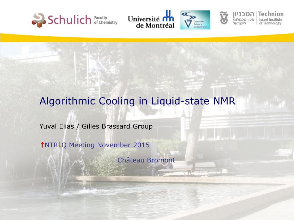 Algorithmic Cooling in Liquid State NMR (Pdf)