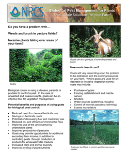 Invasive Plants Taking Over Areas of Your Farm?