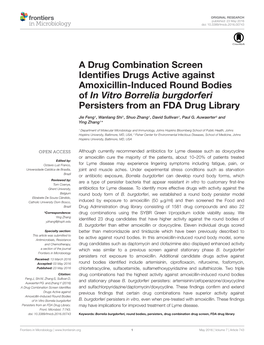 A Drug Combination Screen Identifies Drugs Active Against Amoxicillin