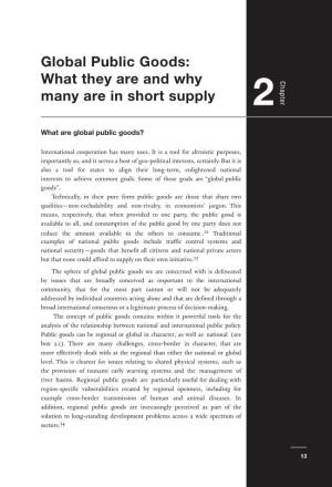 Global Public Goods: What They Are and Why Many Are in Short Supply
