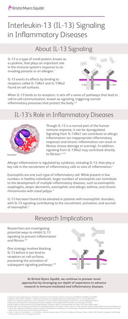 IL-13) Signaling in Inﬂammatory Diseases