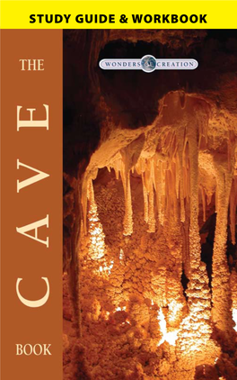 The Cave Book Study Guide &Workbook