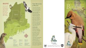 State of Maine Birding Map and Trail Guide