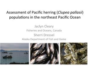 Assessment of Pacific Herring (Clupea Pallasii) Popula)Ons in The