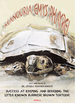 Manuria Emys Phayrei, the Burmese Brown Tortoise – English