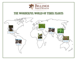 The Wonderful World of Fiber Plants