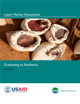 Labor Market Assessment Graduating to Resilience