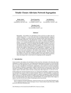 Triadic Closure Alleviates Network Segregation