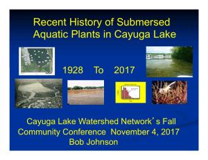 Recent History of Submersed Aquatic Plants in Cayuga Lake