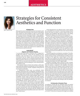 Strategies for Consistent Aesthetics and Function