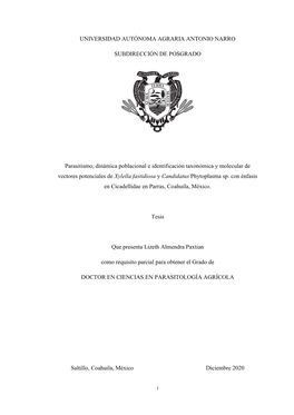 Almendra Paxtian, Lizeth.Pdf (1.973Mb)