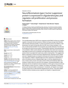 Neurofibromatosis Type 2 Tumor Suppressor Protein Is Expressed in Oligodendrocytes and Regulates Cell Proliferation and Process Formation