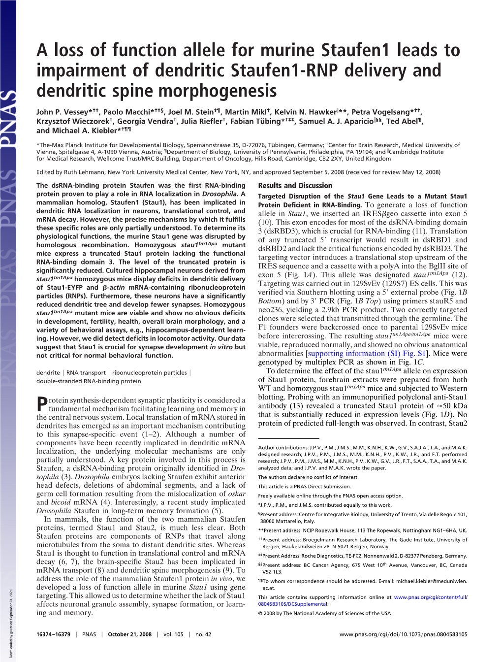 A Loss of Function Allele for Murine Staufen1 Leads to Impairment of Dendritic Staufen1-RNP Delivery and Dendritic Spine Morphogenesis