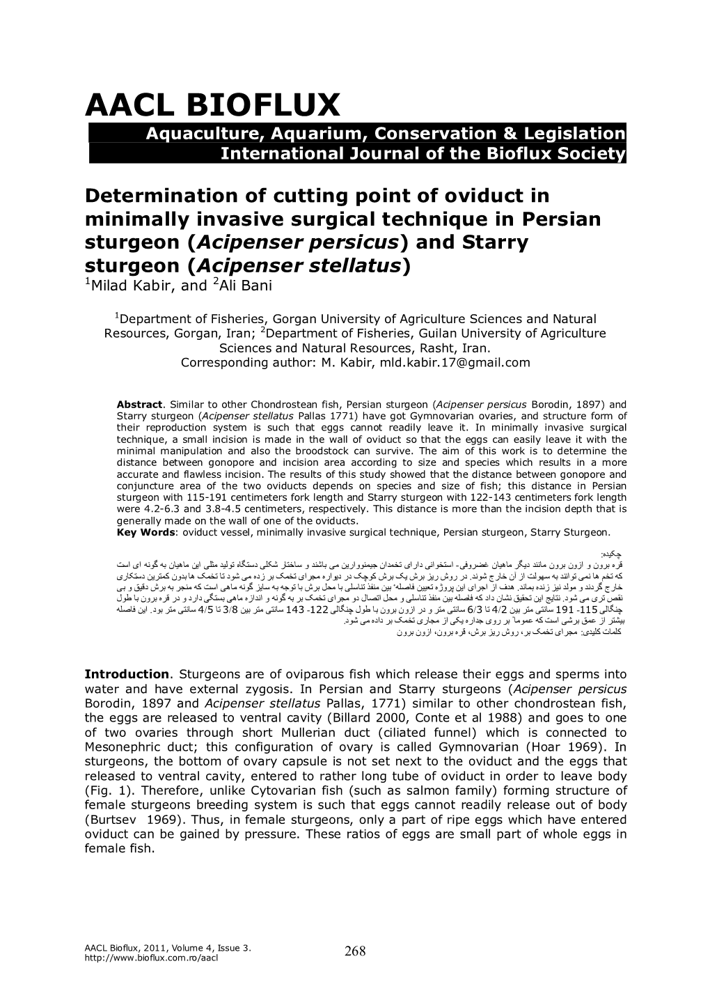 Determination of Cutting Point of Oviduct in Minimally Invasive Surgical Technique in Persian Sturgeon