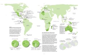 New World Extinctions: Where Next? Mammals: the Recently Departed